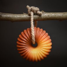 ROOIBOS NA PROVAZE