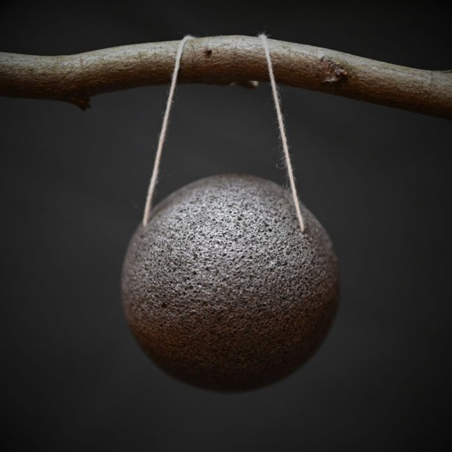 KONJAKOVÁ HOUBIČKA - Druh houbičky: Černá