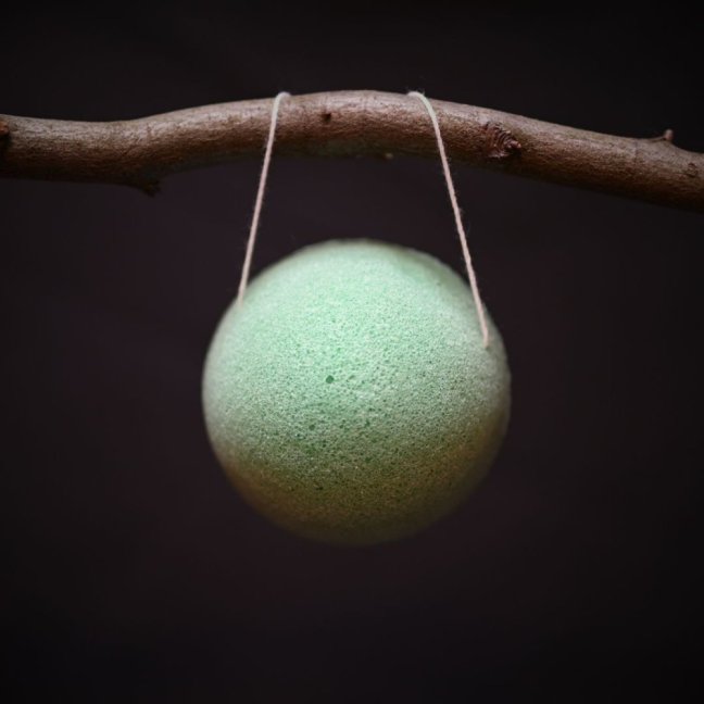 KONJAKOVÁ HOUBIČKA - Druh houbičky: Černá