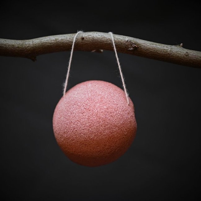 KONJAKOVÁ HOUBIČKA - Druh houbičky: Červená