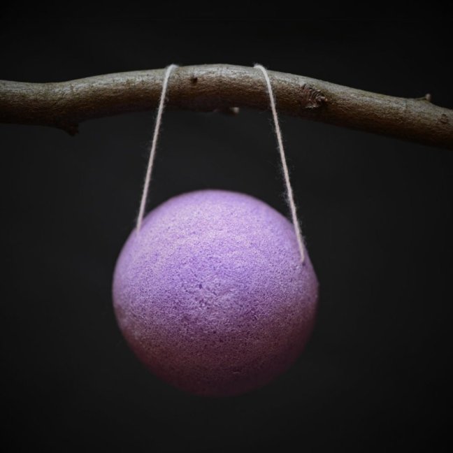 KONJAKOVÁ HOUBIČKA - Druh houbičky: Černá