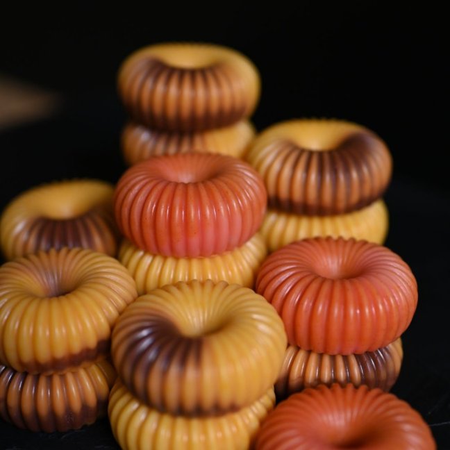 ROOIBOS NA PROVAZE